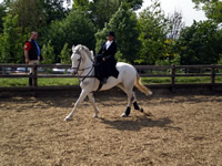 Horse tuition